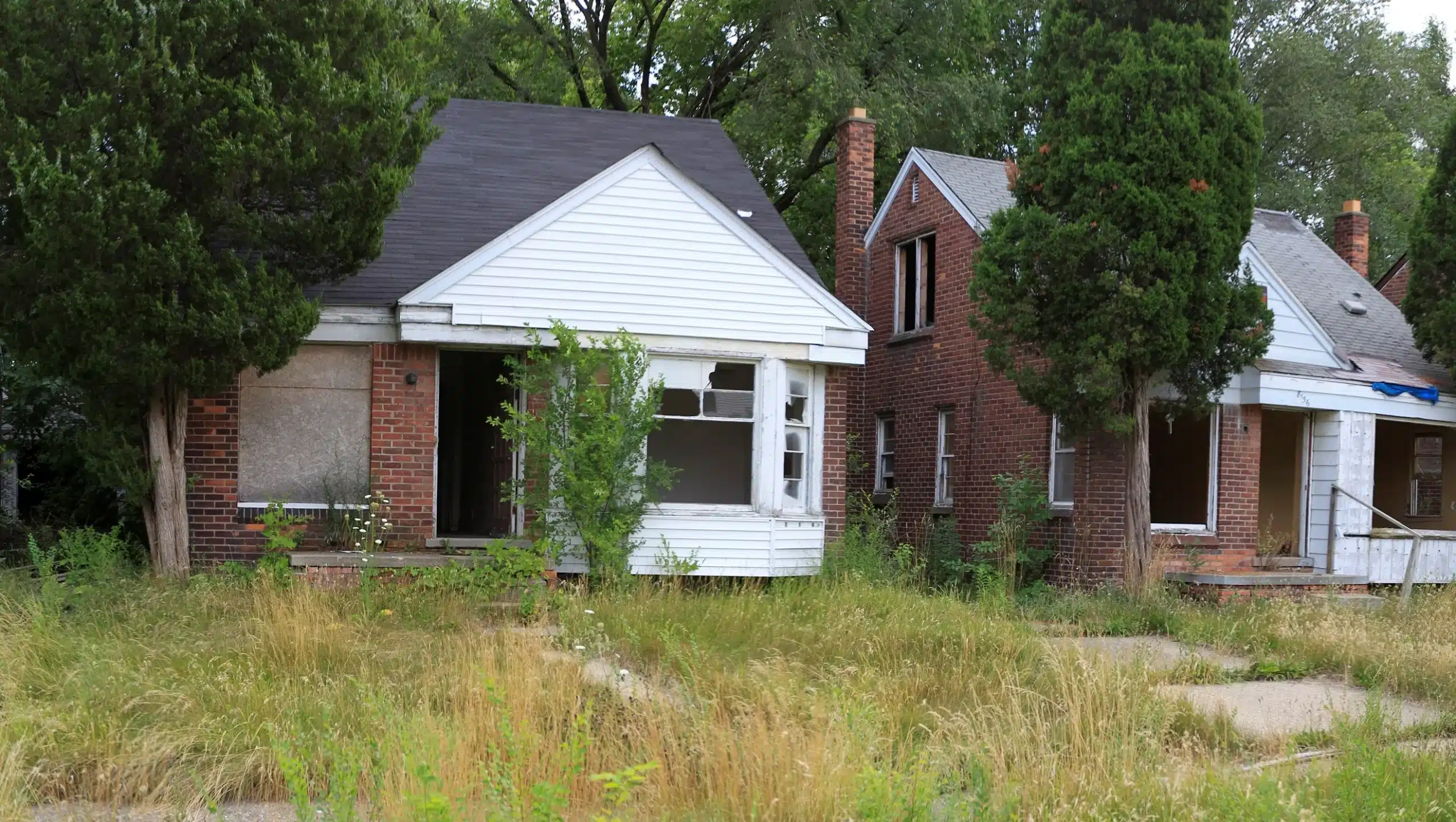 Abandoned houses overgrown with grass.