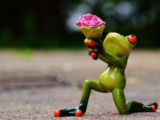 converting to a container house