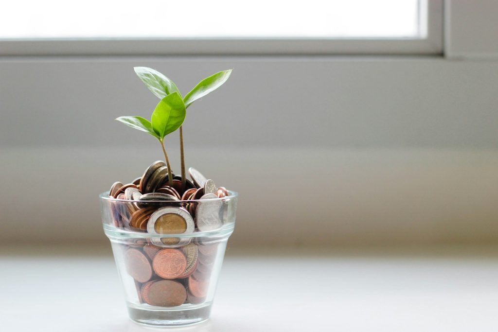 green plant in clear glass cup. Saving for cheap houses